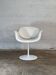 Small Tulip Chair, Pierre Paulin, Artifort