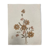 Planche fleurs séchées