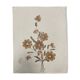 Planche fleurs séchées