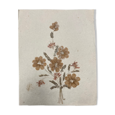 Planche fleurs séchées