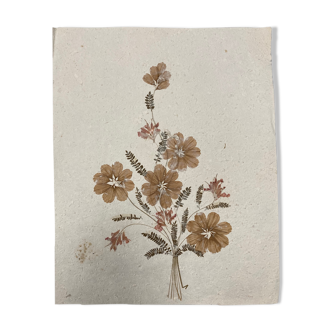 Planche fleurs séchées