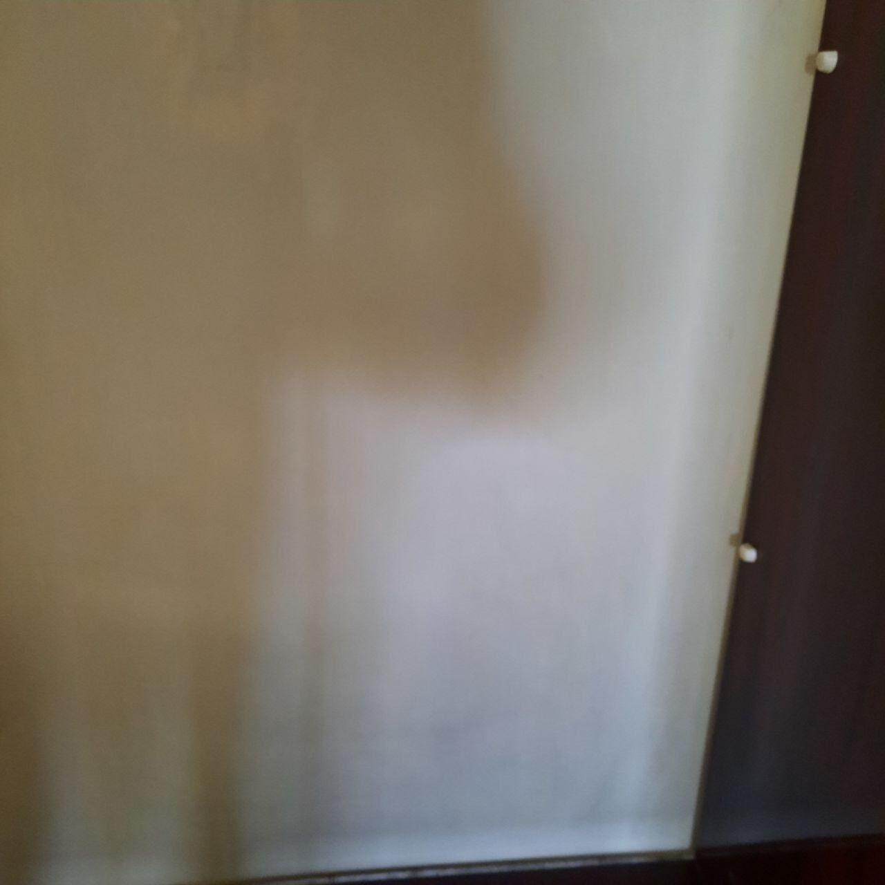 Wardrobe, 1950s bookcase, brass print / tips.