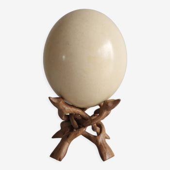 Ostrich egg on its exotic wooden support