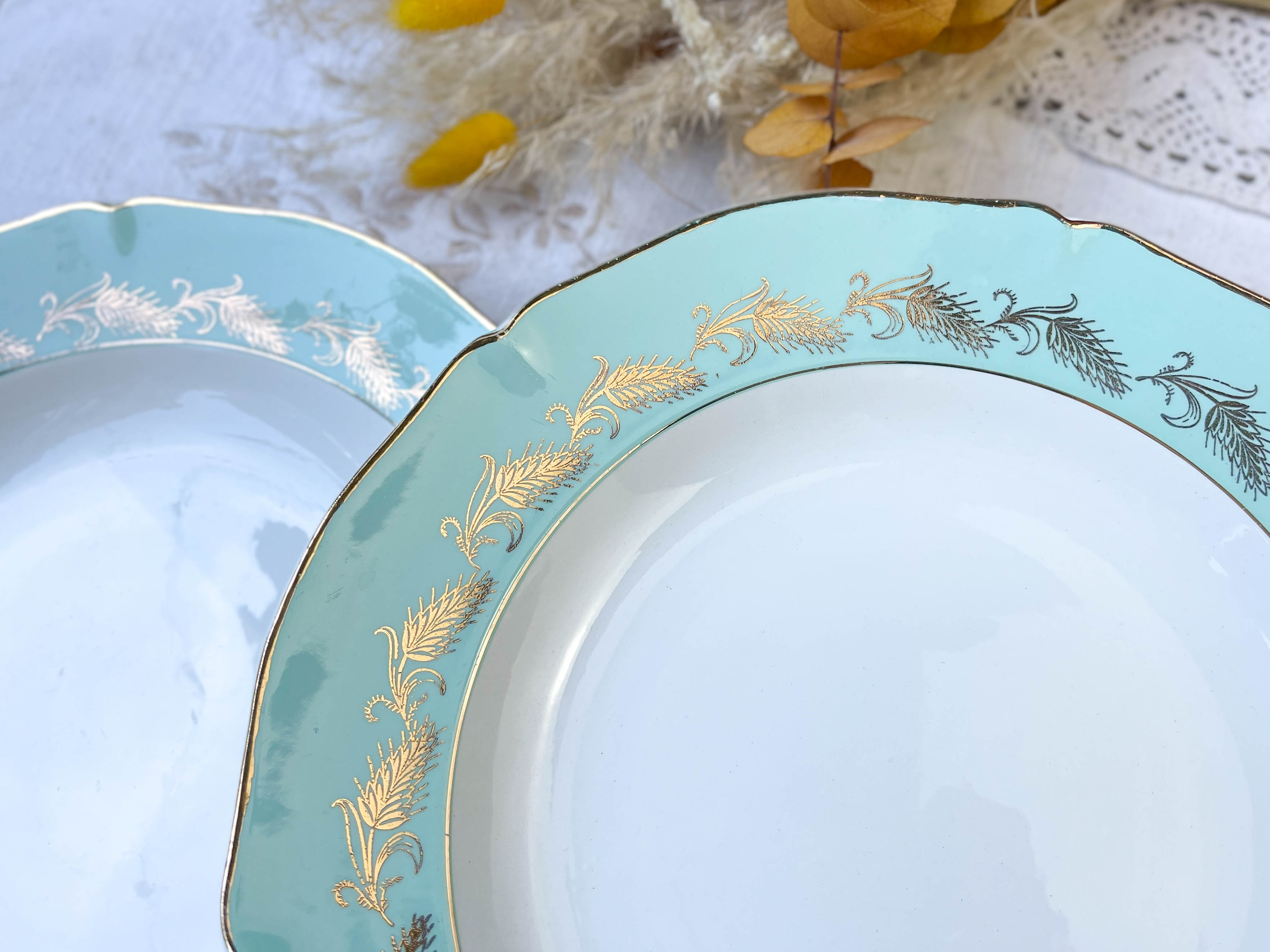 6 assiettes creuses st amand céranord modèle picardie en faïence blanche verte dorée