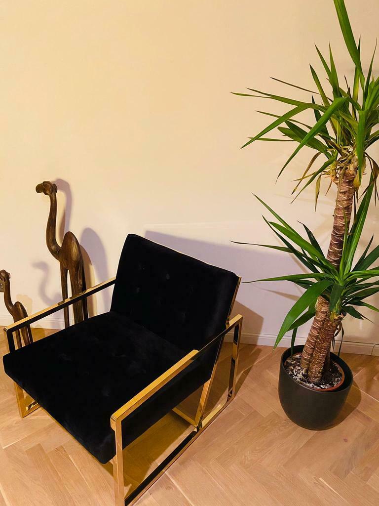Fauteuil velours & or monoplace
