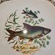 Lonchamp fish service: 12 plates and a dish