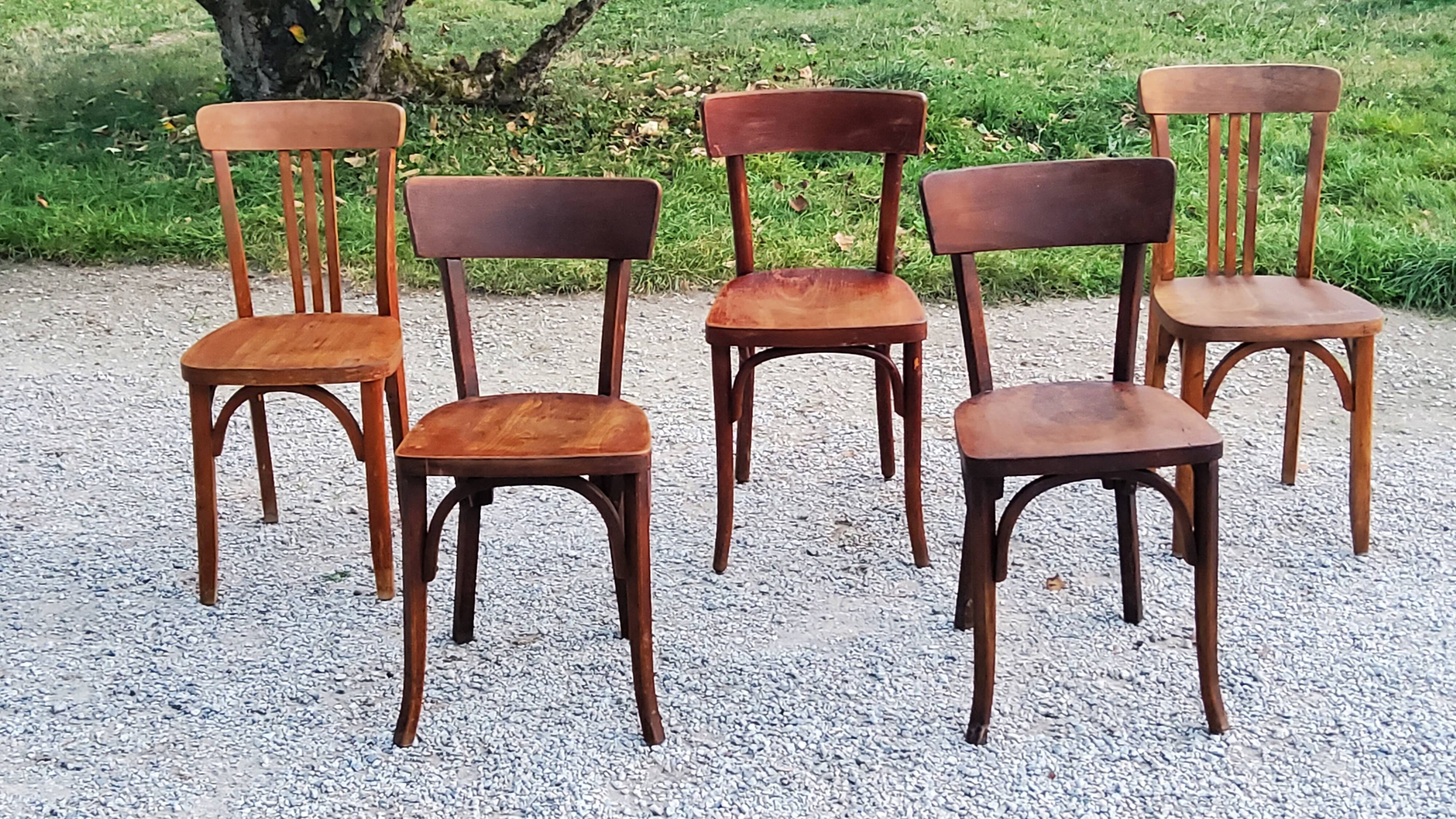 Set of 5 Stella Thonet bistro chairs from the 1950s