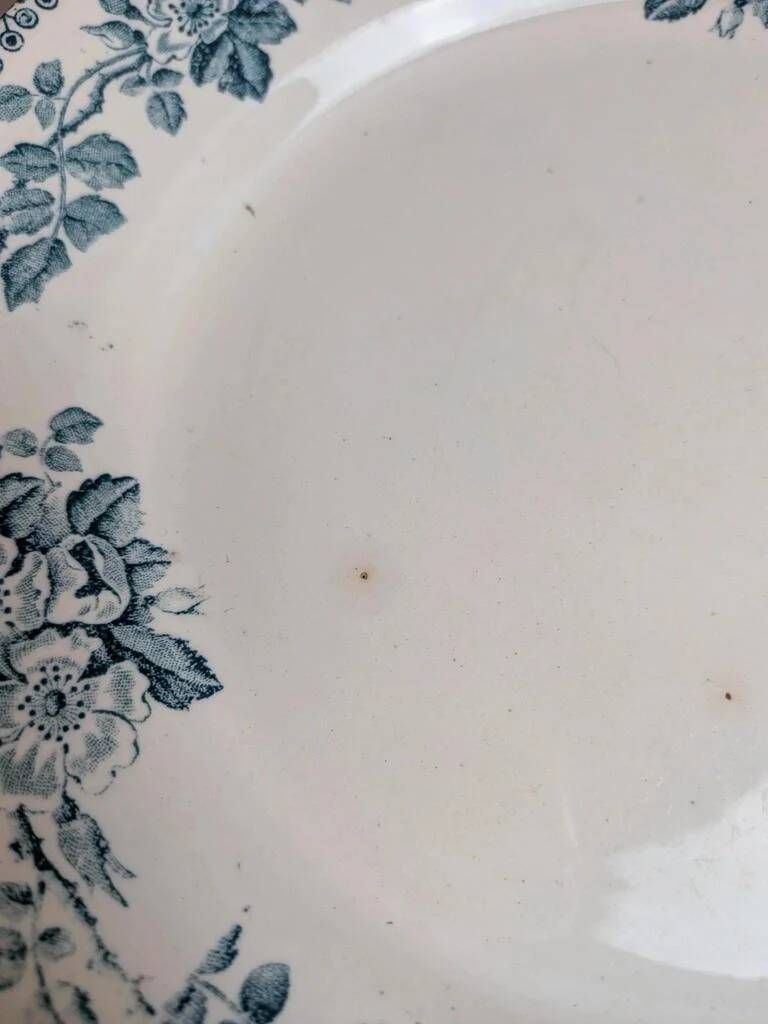 Set of 3 flat plates in ironstone Debray – Guadeloupe Service