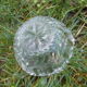 Ensemble 2 coupelles en verre
