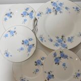 Set of 11 plates dessert and 1 dish of the pottery of onnaing