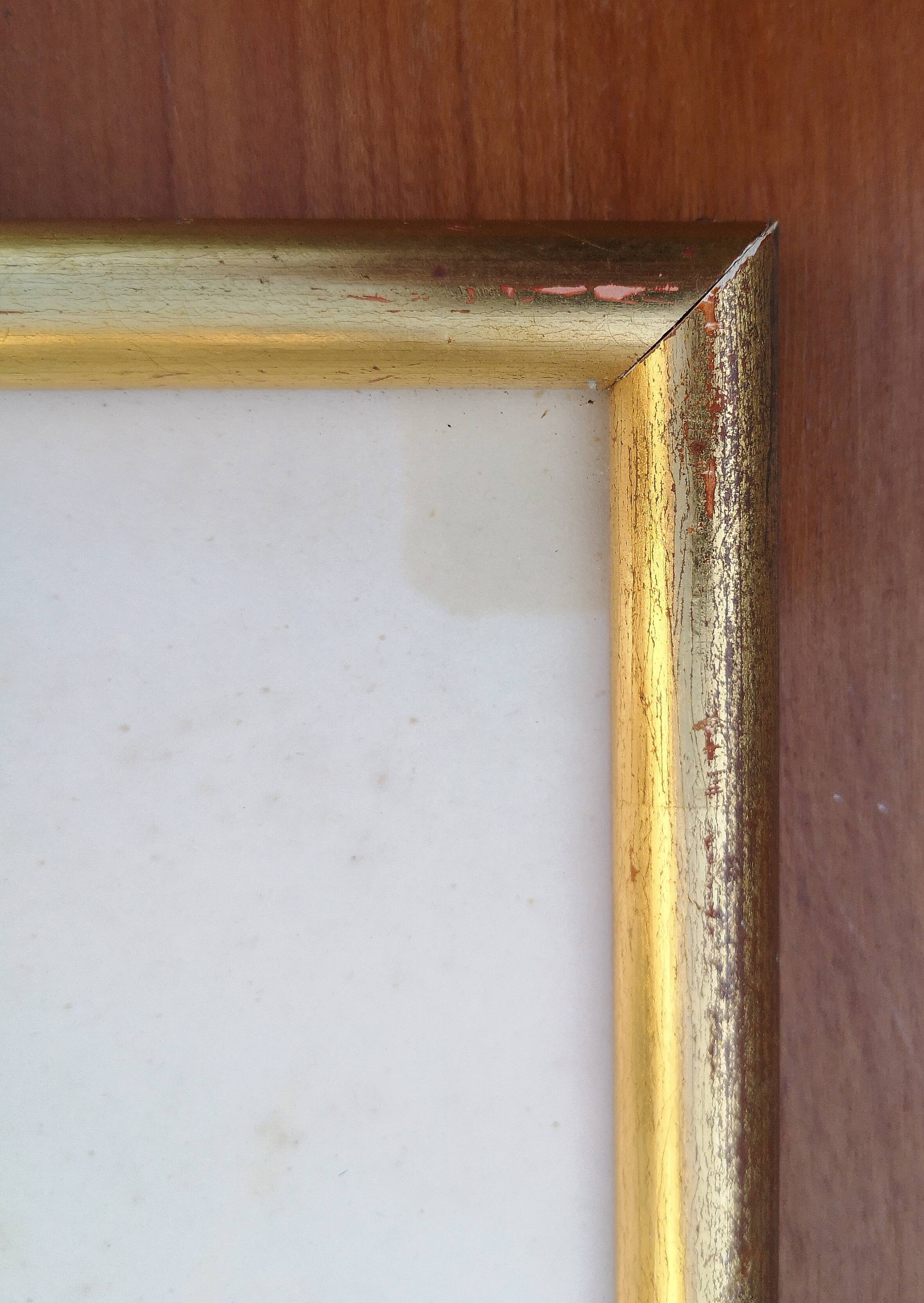 Framed lithograph by J. Gould and HC Richter