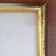Framed lithograph by J. Gould and HC Richter