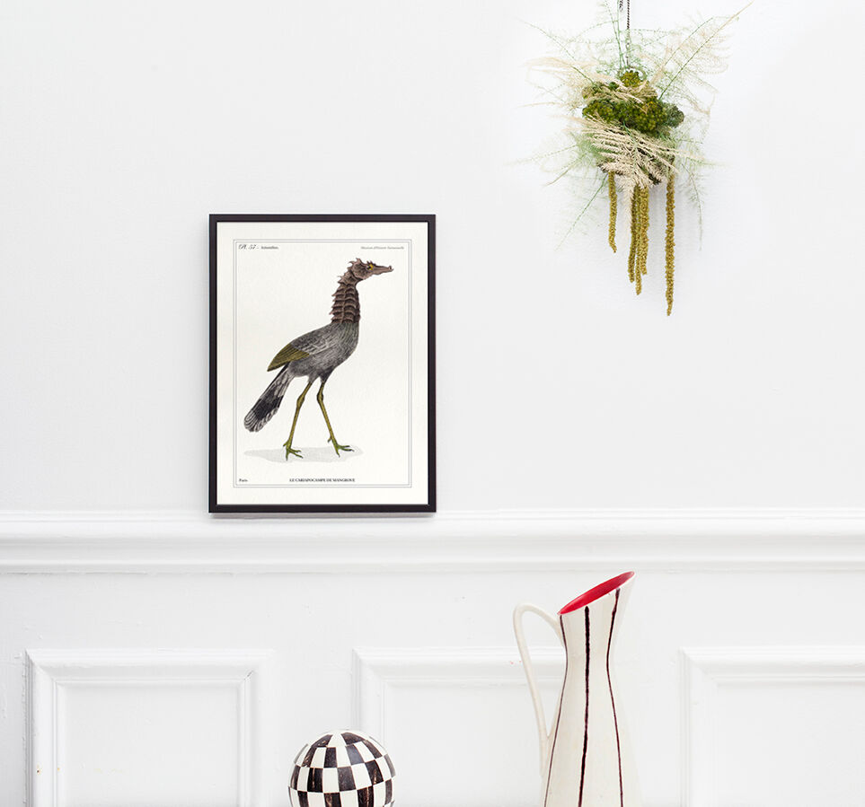 Lithograph chimeric engraving animal - the cariapocampus