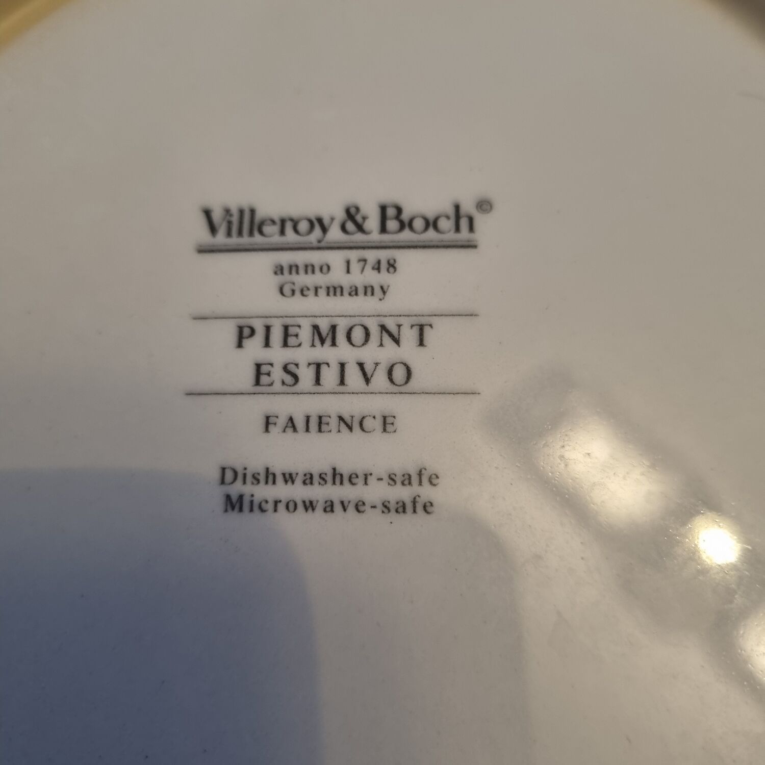 10 Villeroy & Boch plates model Pietmon Estivo