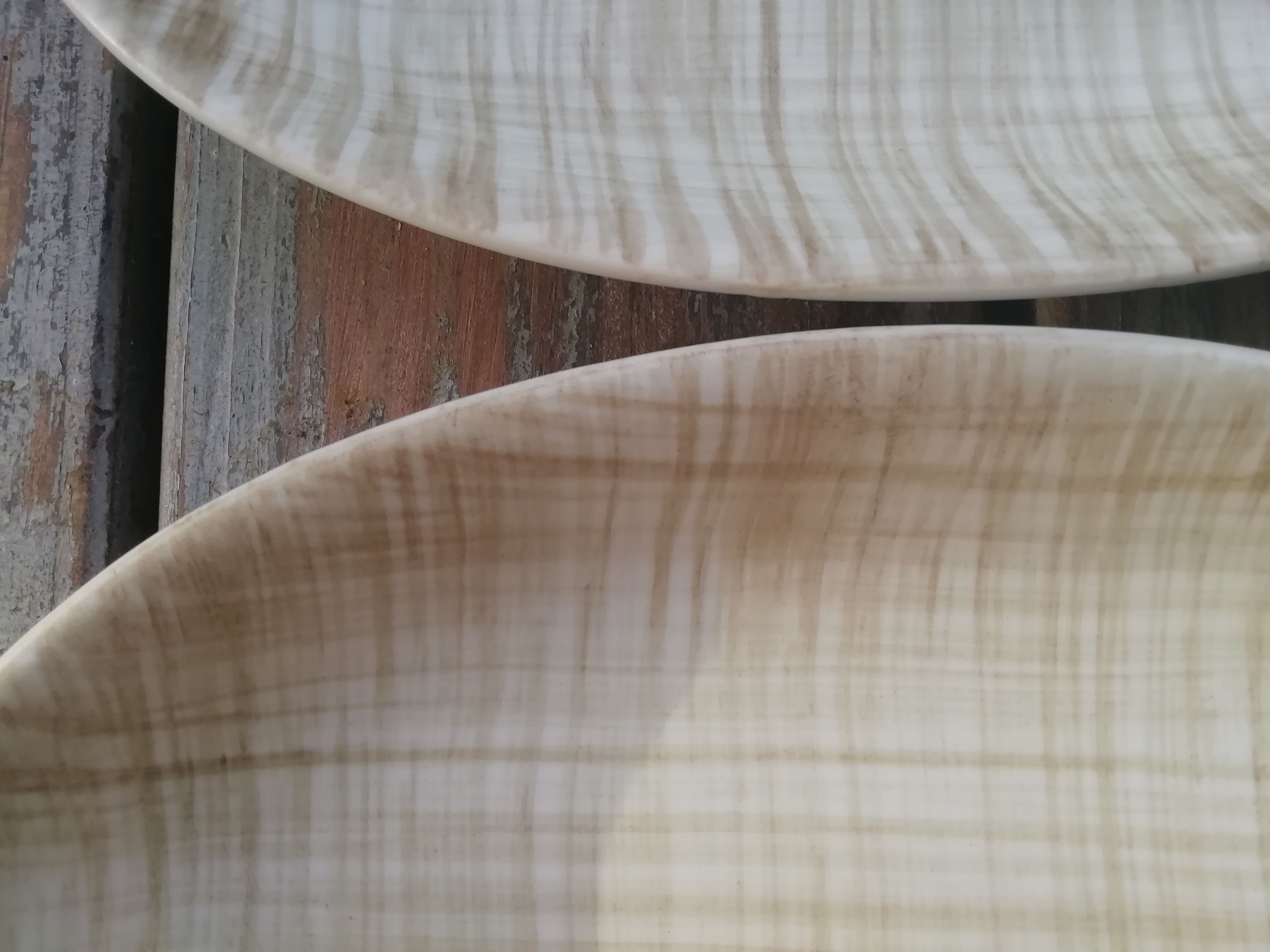 Pair of saline ravines