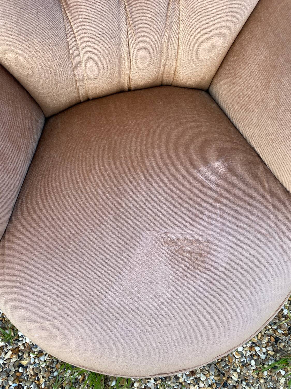 Beige velvet toad armchair