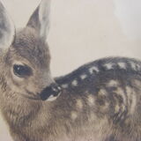 Old Fawn print