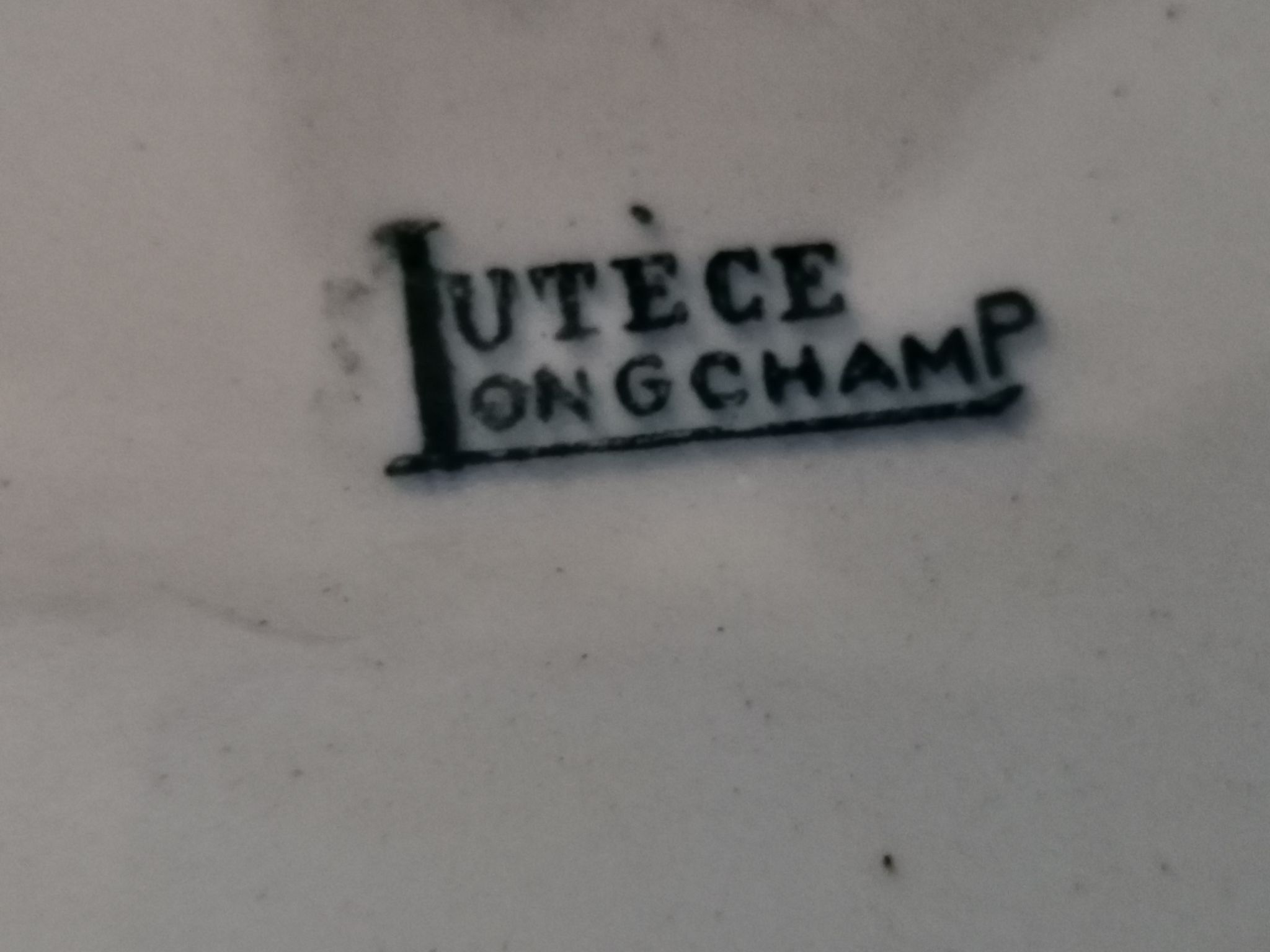 Lot of 6 half-hollow plates in Longchamp iron earth