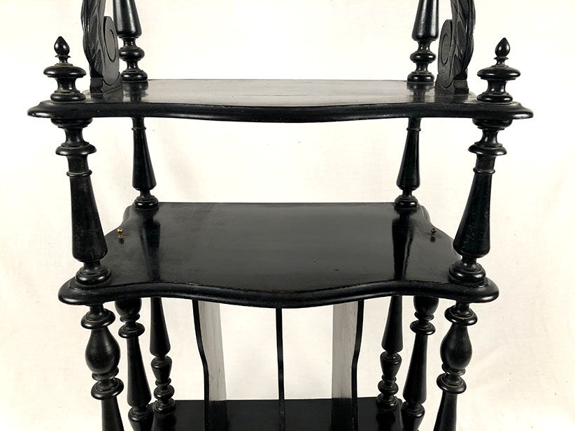 Napoleon III partition furniture, blackened wood