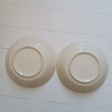 Total soup plates