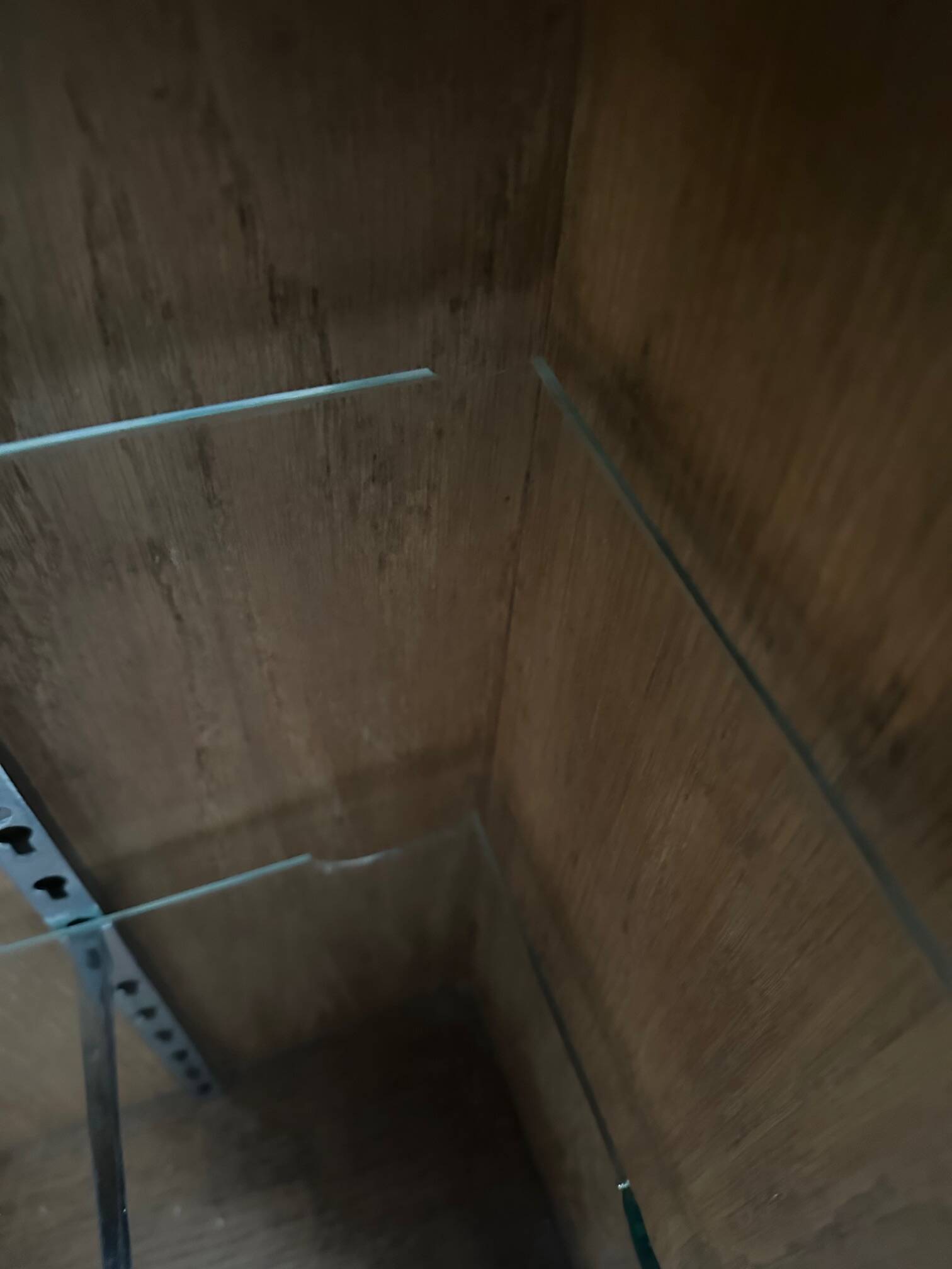 1950s shop display counter