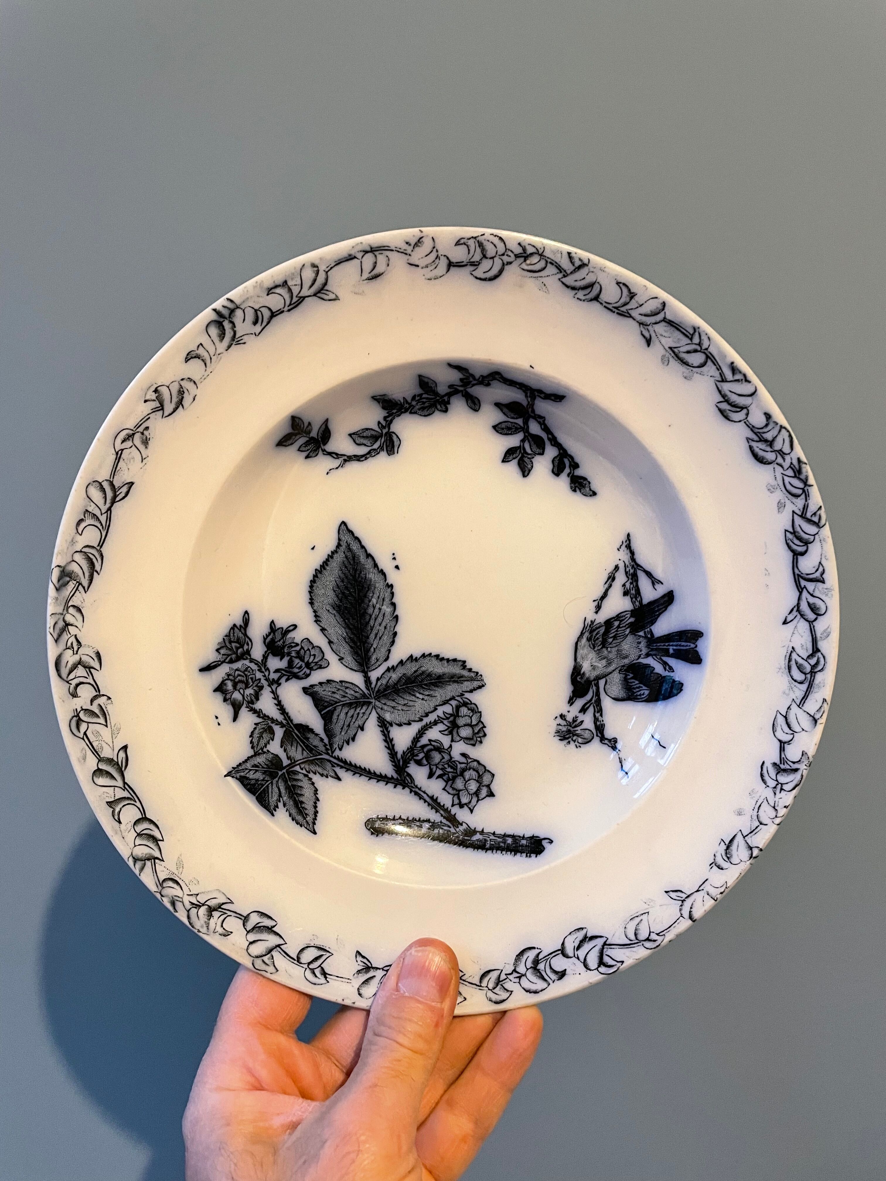 Set of 4 hollow plates Terre de Fer