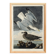 Poster about the Herring Gull, based on an old engraving from 1827.