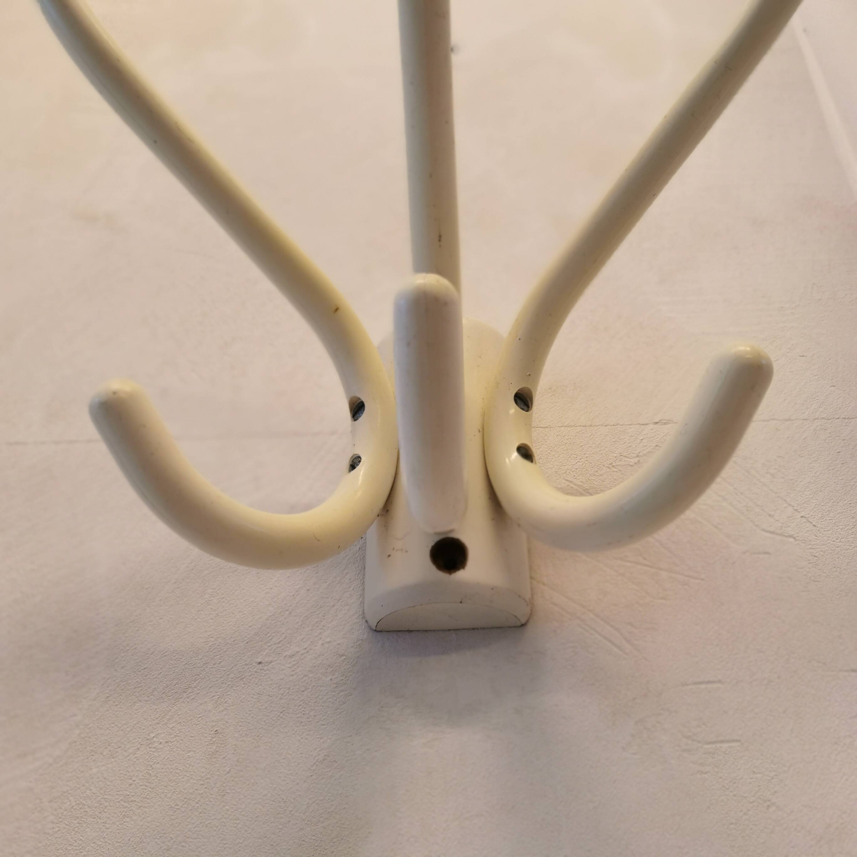 Curved wooden coat hook