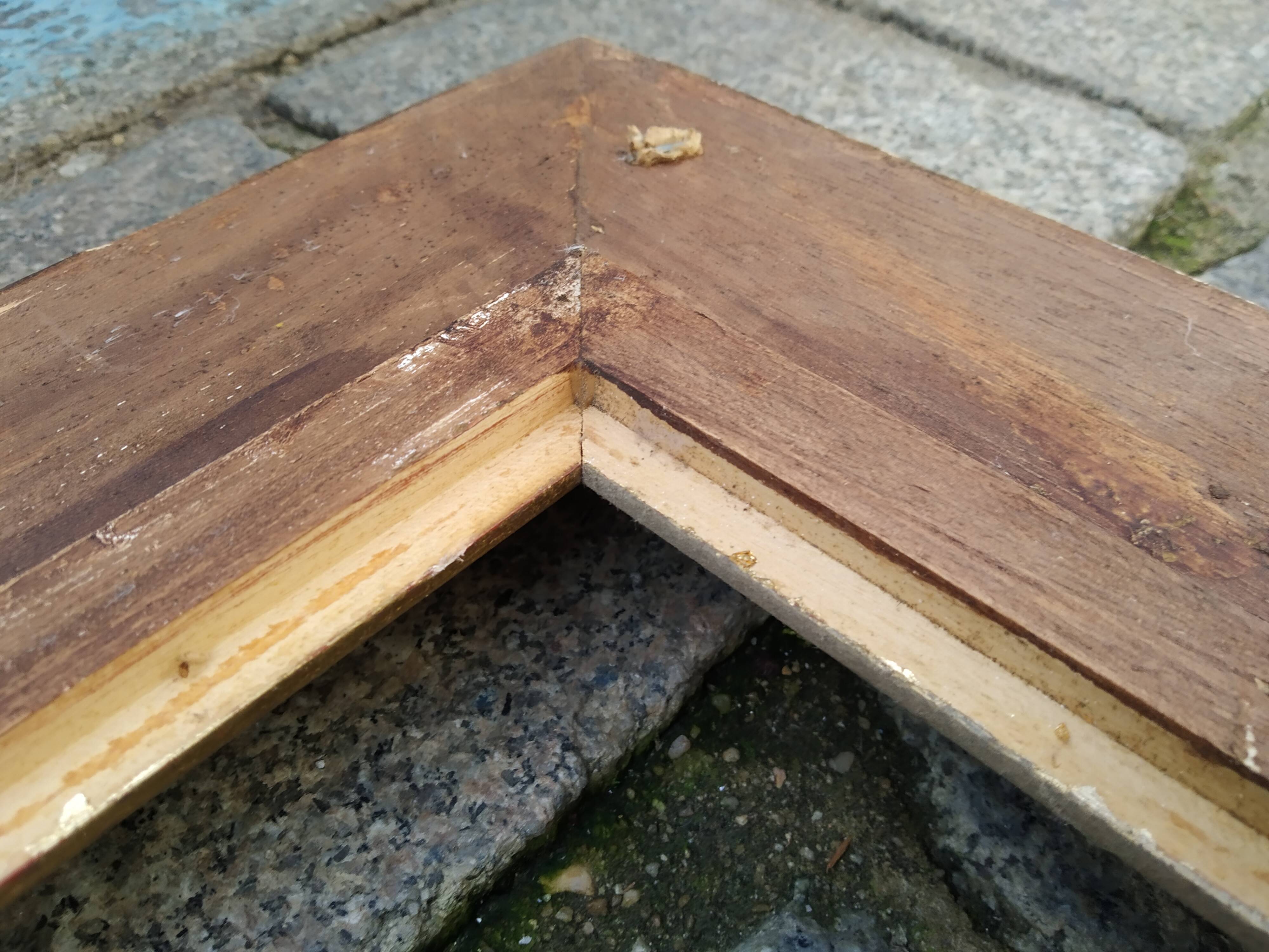 Gilded montparnasse frame