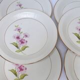 6 assiettes plates Gien Chevreuse