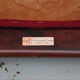 4 rosewood chairs Gianfranco Frattini model 107