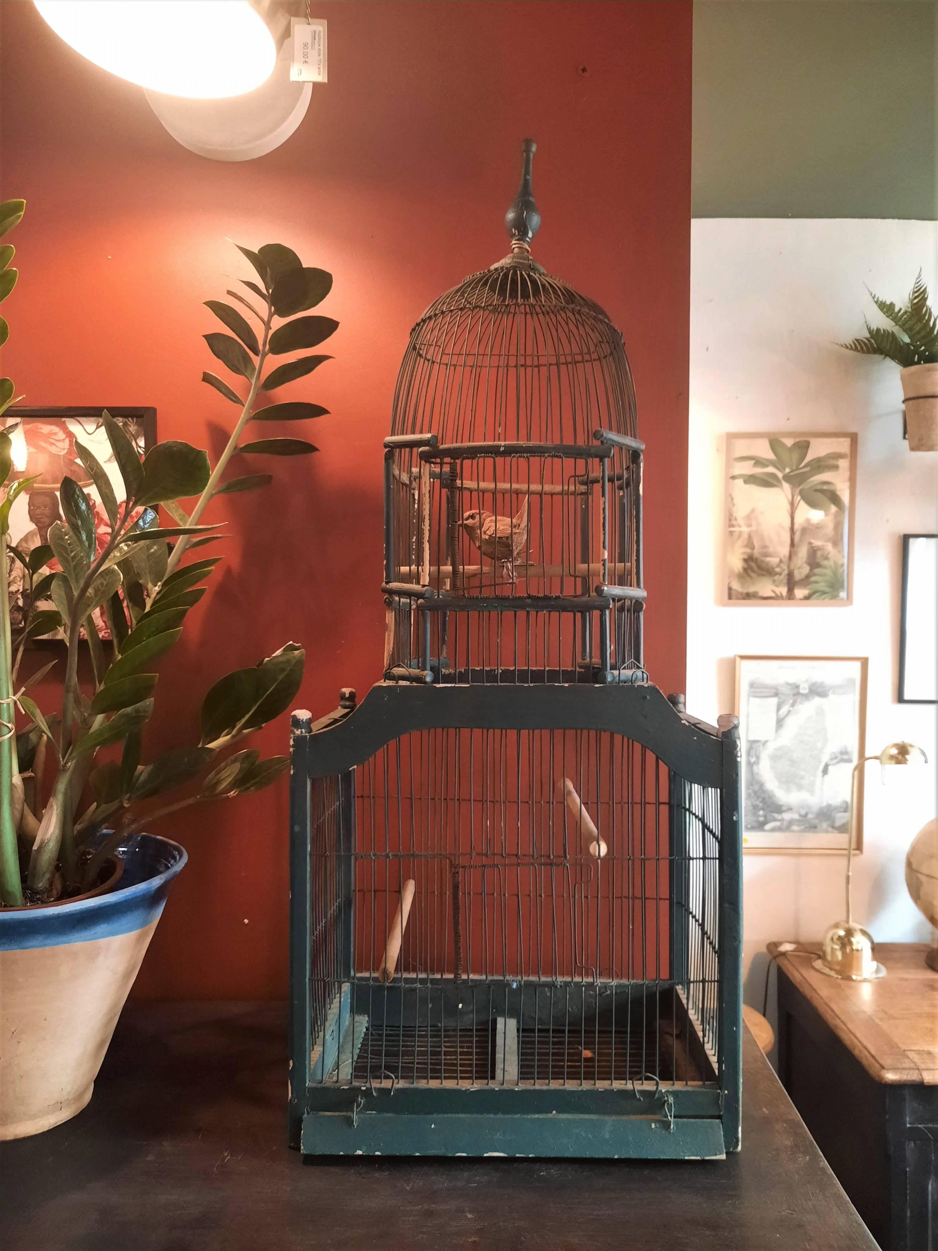 Victorian bird cage
