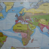 Vintage MDI Agriculture and Fishing School Card Worldwide