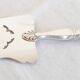 Silver Pie Server, Cake Serving Spoon