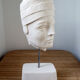 Androgynous head in plaster