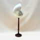 Large pearly Nautilus shell on turned wooden base, old vintage cabinet of curiosities