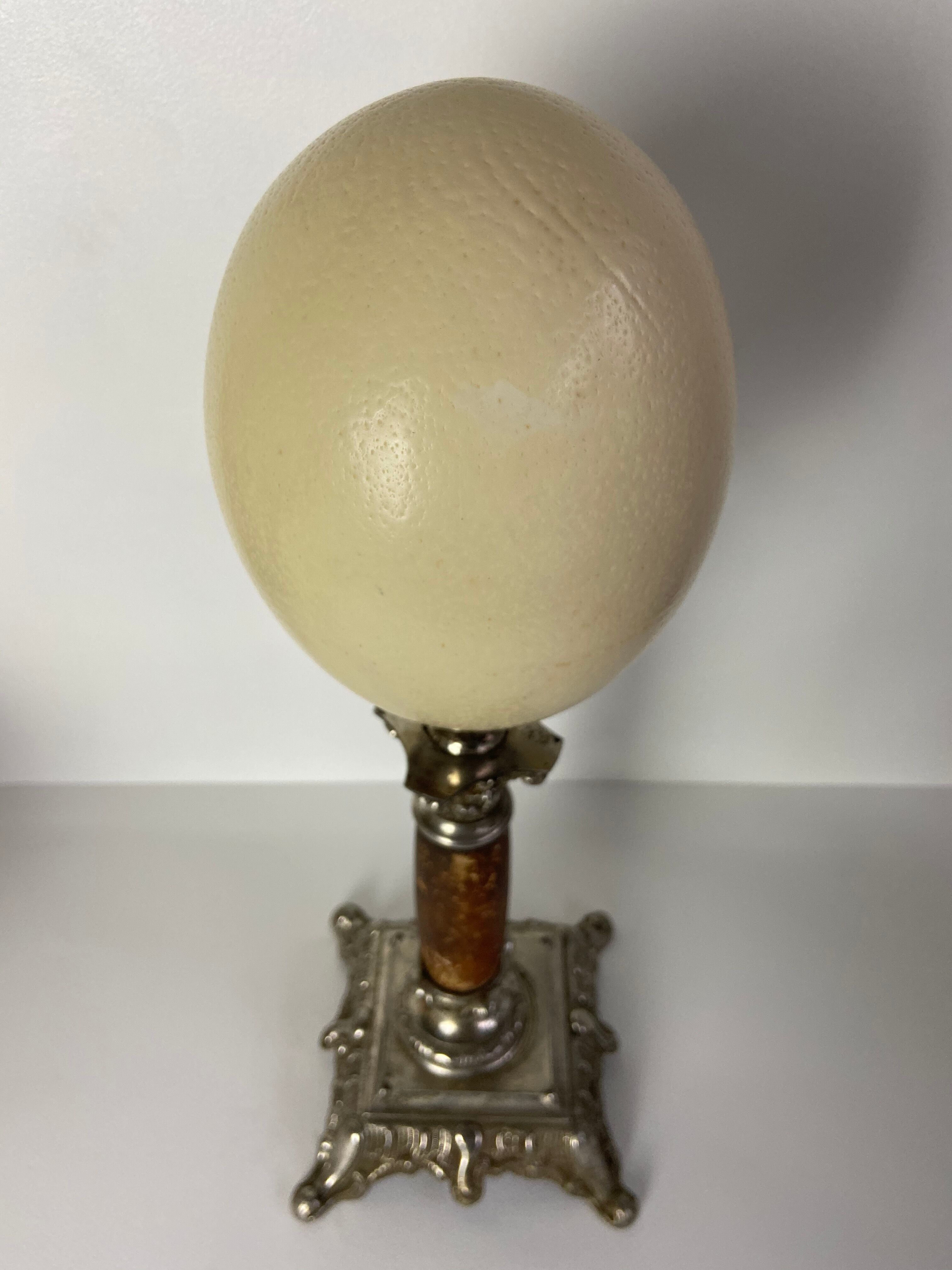 Ostrich egg