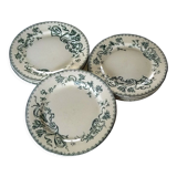 9 flat earthenware plates motif Herbarium and Salins