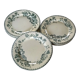 9 flat earthenware plates motif Herbarium and Salins