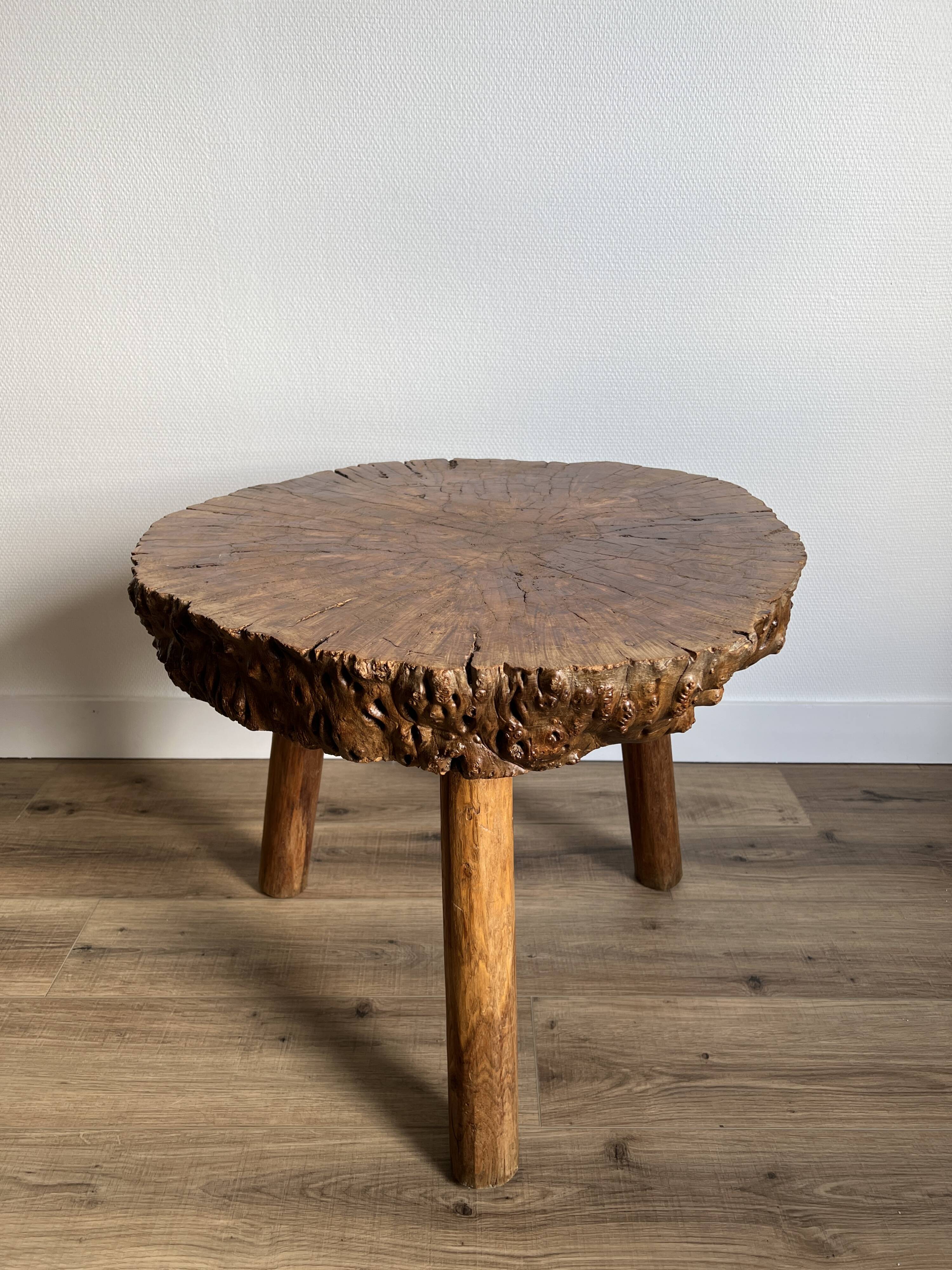 Brutalist tripod coffee table in elm burl, 1950.
