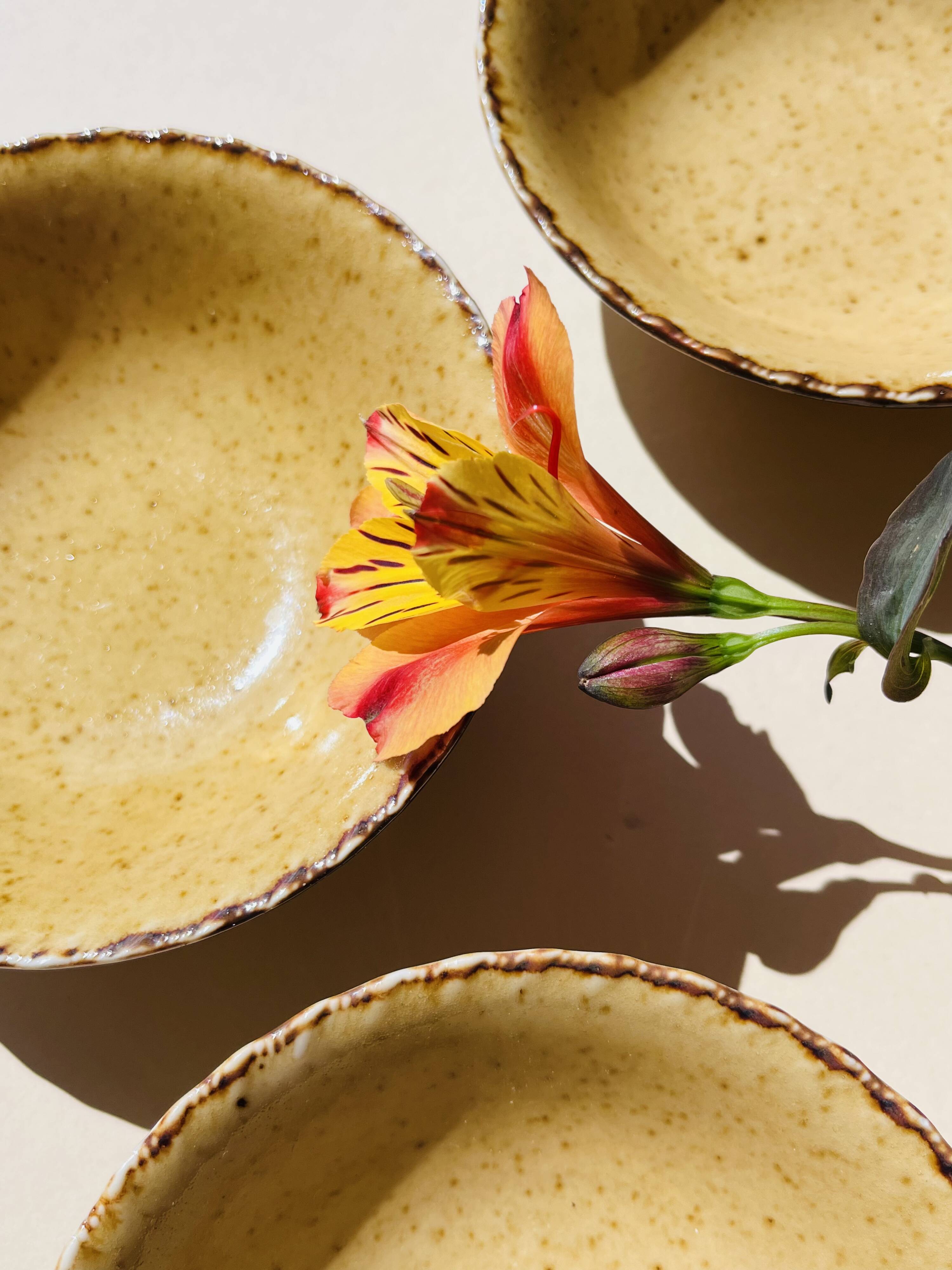 Set of 4 sand ceramic bowls