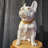 Bouledogue français en céramique manufacture de bavent 1900 france.