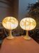 Paire de lampe ARO modèle 468