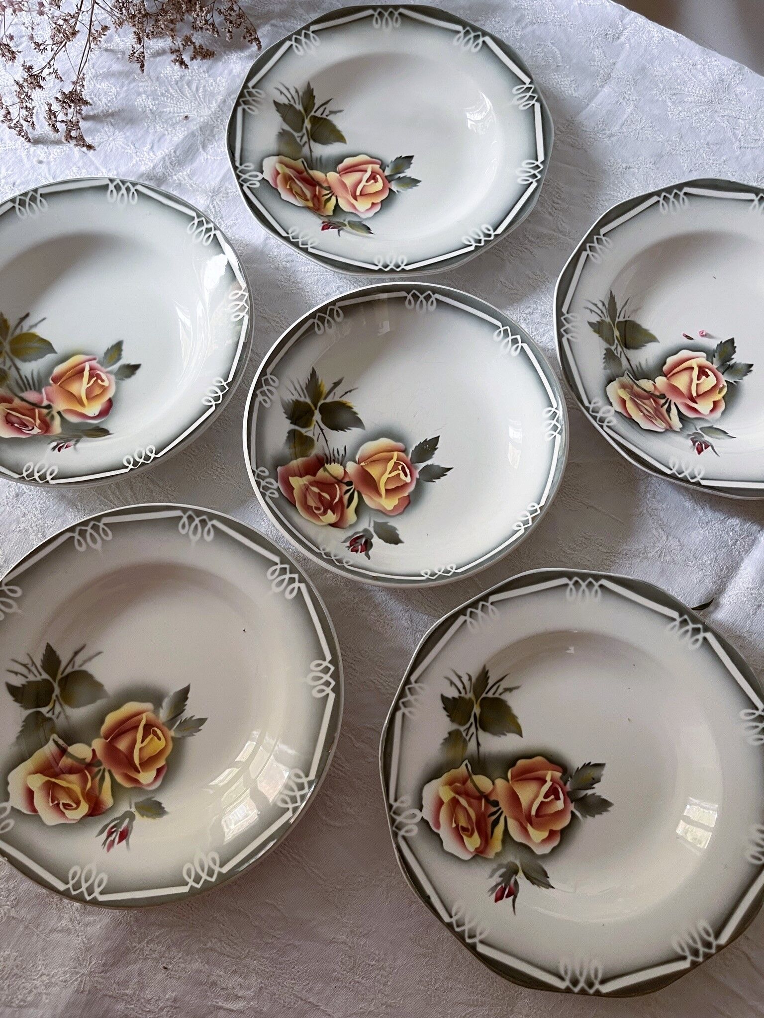 6 hollow plates in vintage earthenware by Digoin Sarreguemines - models Odile and Adèle