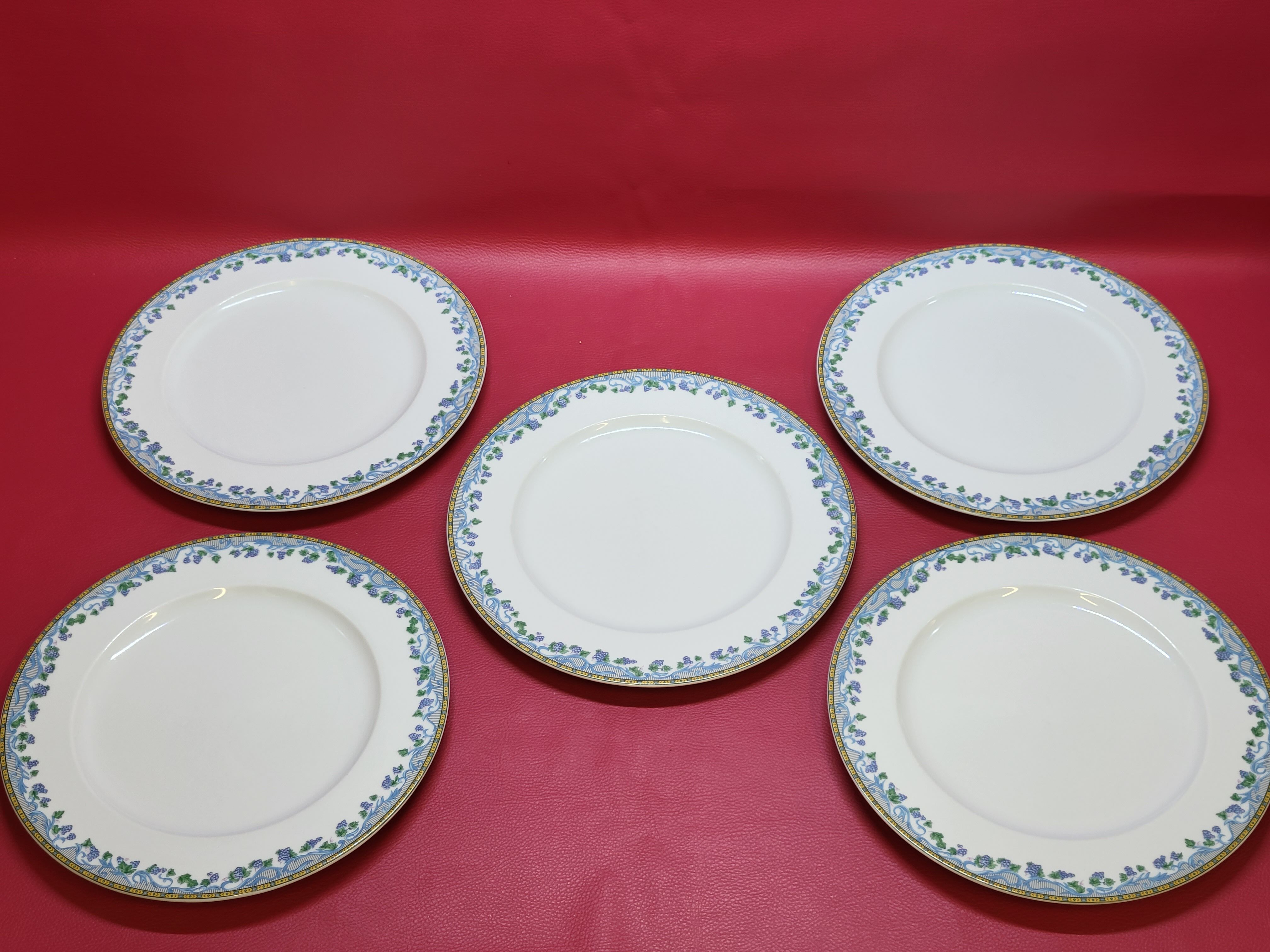 5 large flat plates guy degrenne model tuscany porcelain limoges