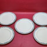 5 large flat plates guy degrenne model tuscany porcelain limoges