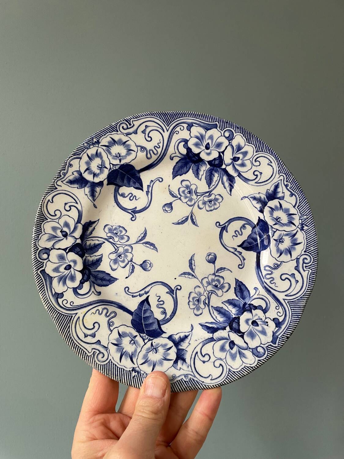 Series of 9 Creil Montereau plates, Flora model