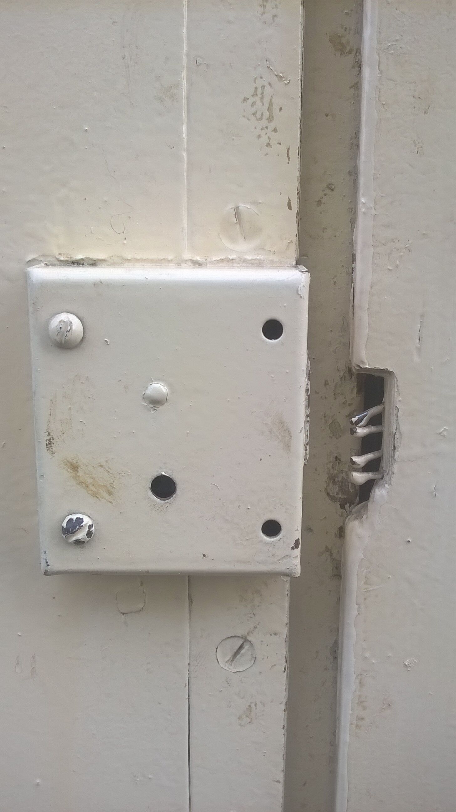 Old Haussmann double doors