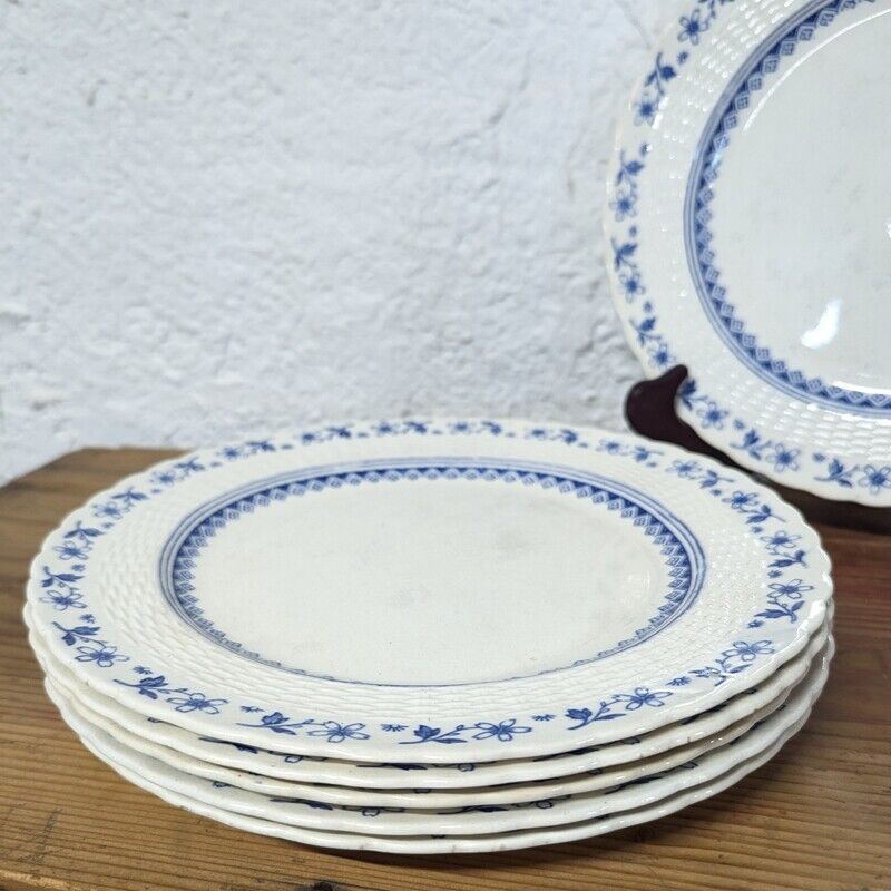 6 large plates Mintons England