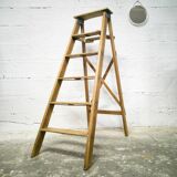 Professional stepladder